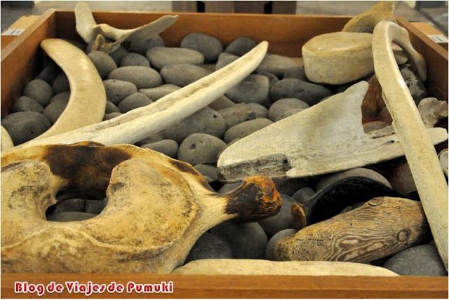 Huesos de Ballena en el museo de las ballenas de Husavik, Islandia