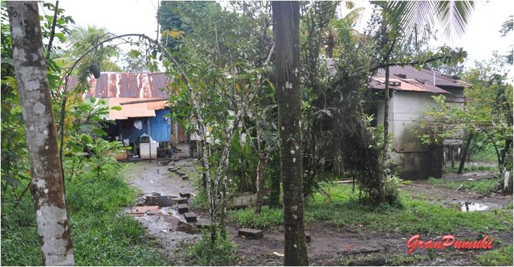 Pueblo de Tortuguero