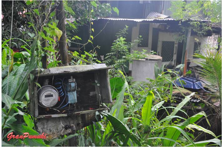 Infravivienda en Tortuguero