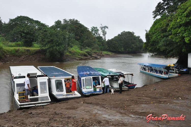 Barcas en el puerto de la Pavona para llegar a Tortuguero por libre 