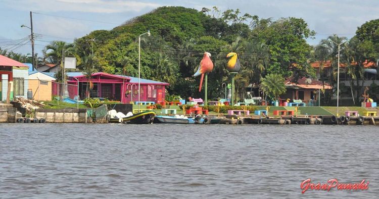 Tortuguero visto desde el canal
