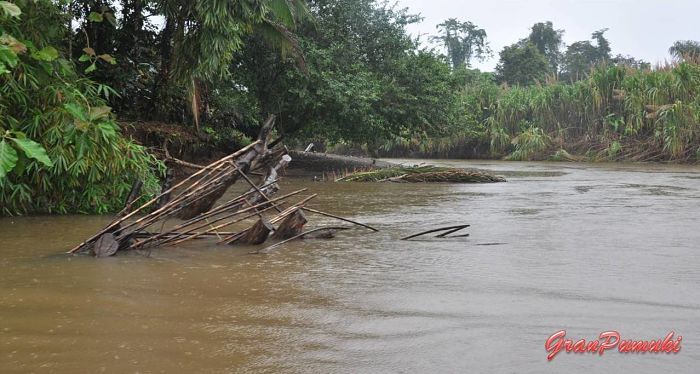 Canal para llegar a Tortuguero por libre