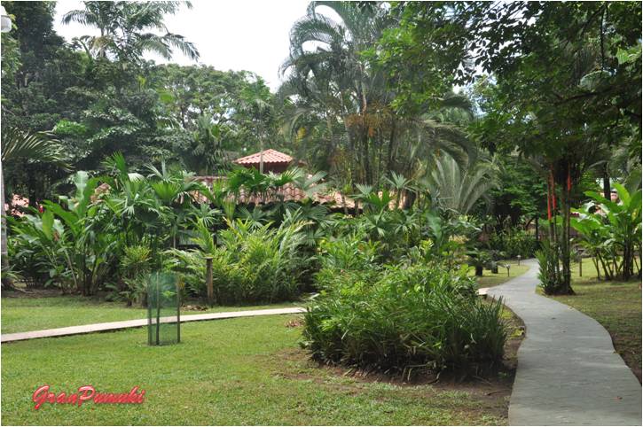 Hotel Mawanba, Tortuguero