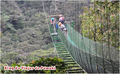 tirolinas o canopi en Santa Elena y Monteverde