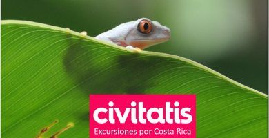 Excursiones por Costa Rica con Civitatis