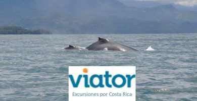 Excursiones por Costa Rica con Viator