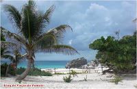 Playas de Riviera Maya