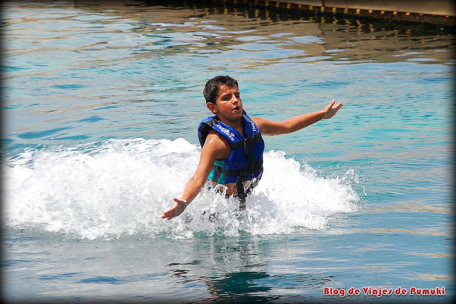 Baño con delfines y food push en parque Xcaret en Riviera Maya