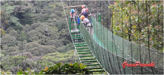 Monteverde es paraíso de los deportes de aventura. Más en Blog de Viajes de Costa Rica