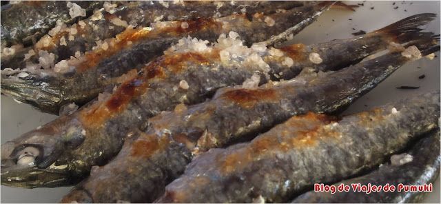 Espetos de Sardina a la brasa en Málaga