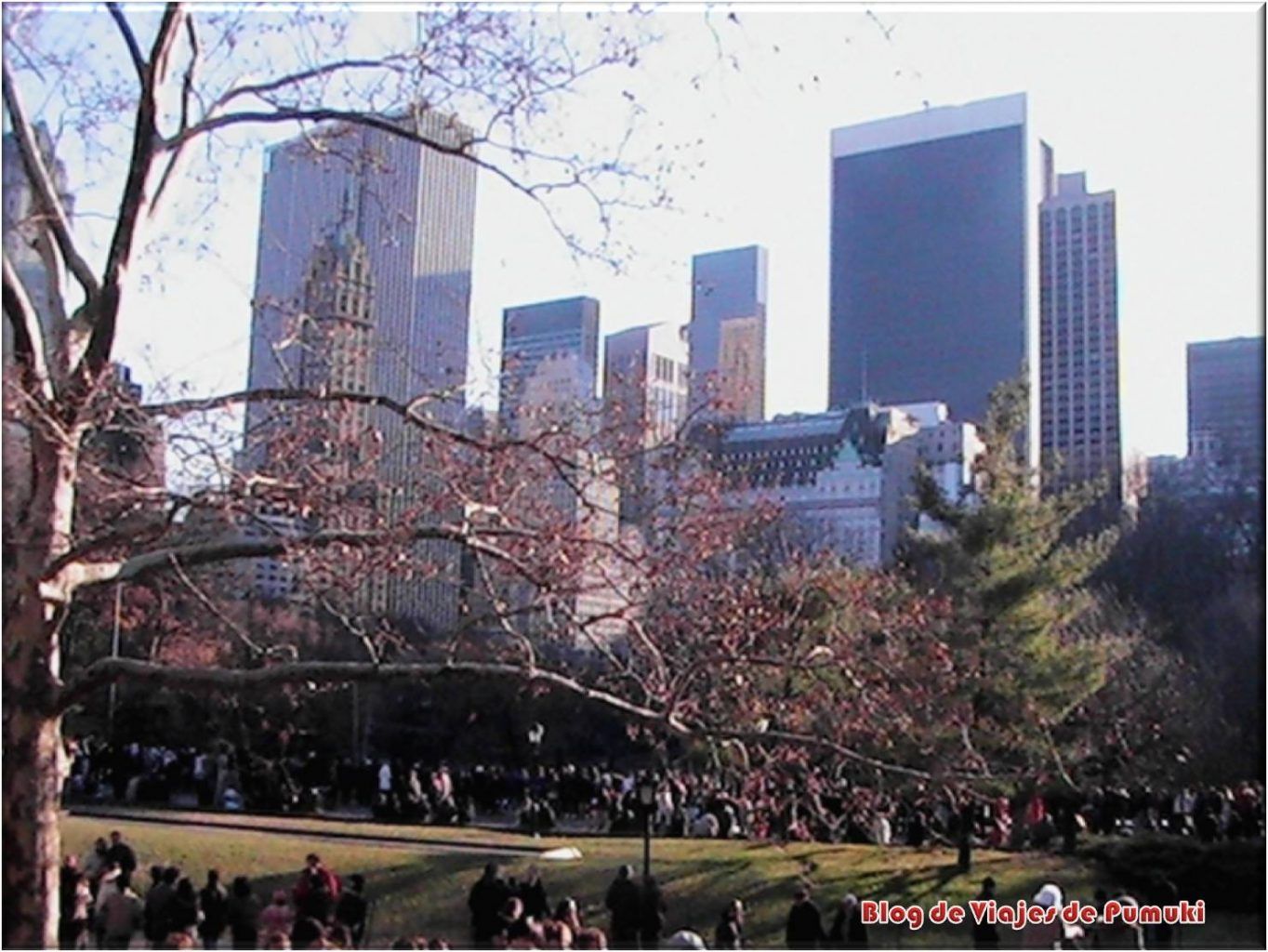 Patinar sobre hielo en Nueva York en Central Park