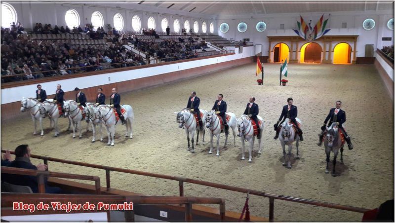 Así Bailan los Caballos Andaluces en Jerez. Escuela Ecuestre de Jerez