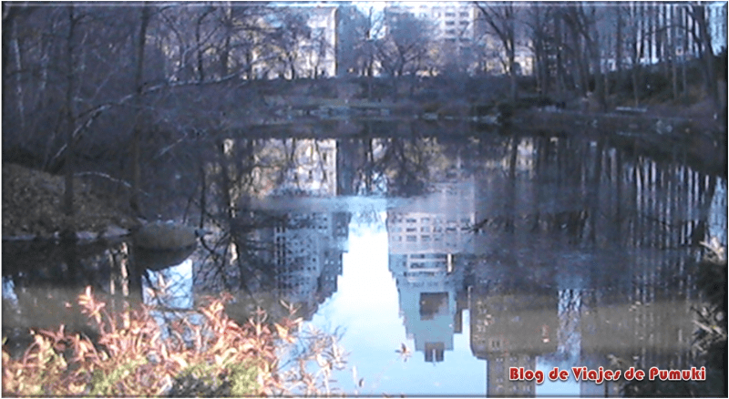 Lagos y Puentes en el Central Park de Nueva York