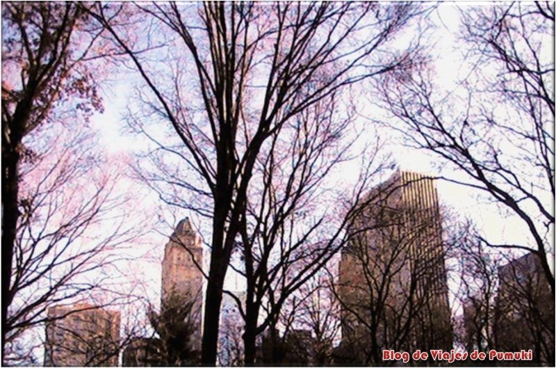El Central Park es el pulmón verde de Nueva York