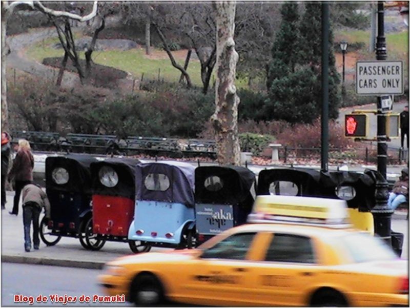 Rickshaw en el Central Park Nueva York