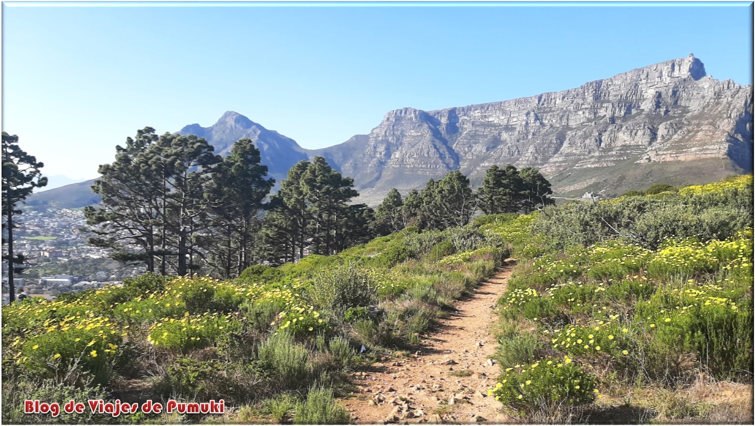 Table Mountain en Ciudad del Cabo