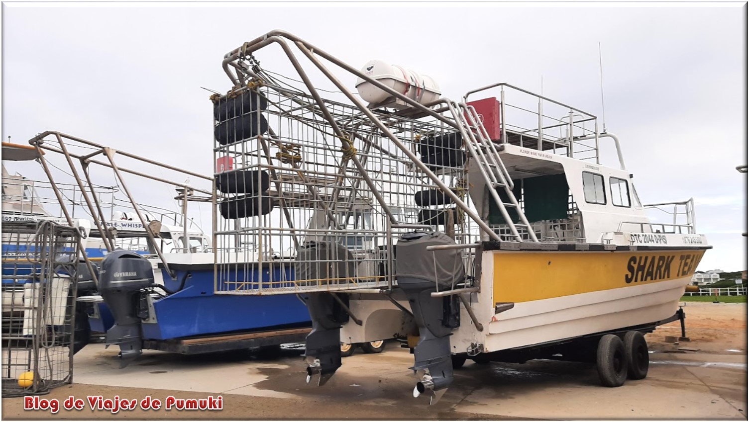 Jaulas para bañarse con el tiburón blanco en Gangsbaai, blog de viajes a Sudáfrica