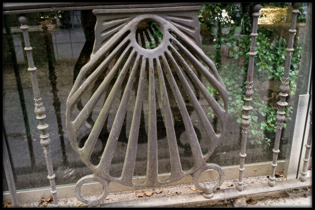 Vieira, Símbolo del Camino de Santiago